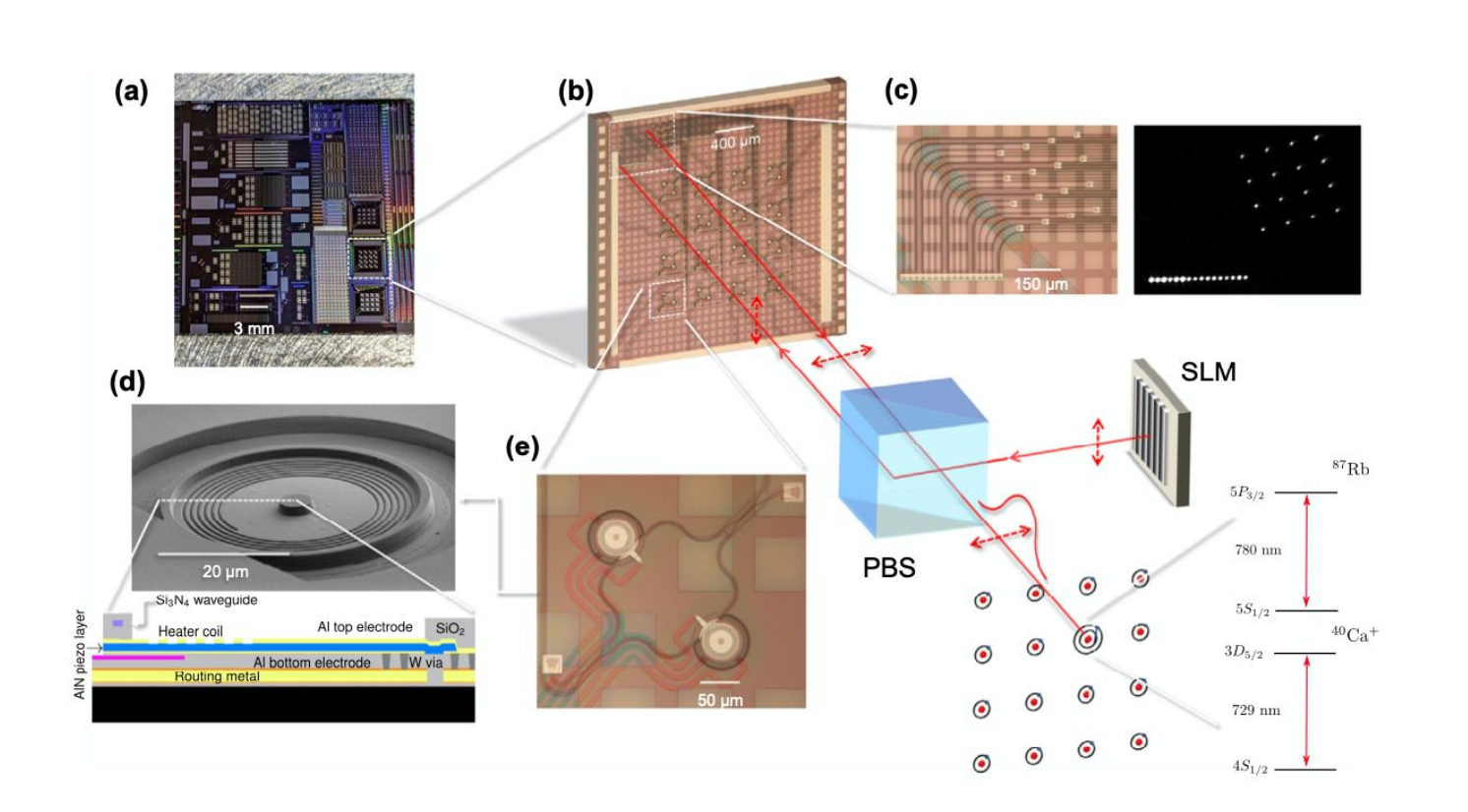 A strange new quantum droplet can hold itself together