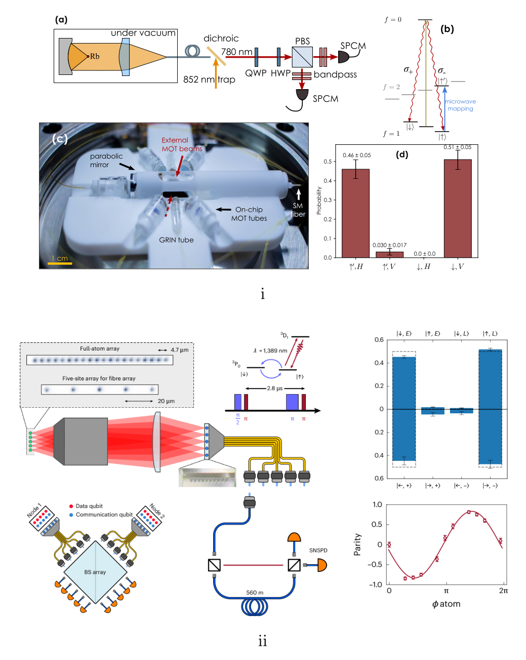 Glassy dynamics with softened kinetic constraints on a noisy quantum computer