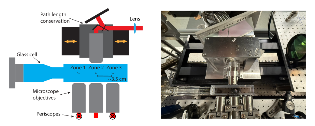 Rice University Researchers Engineer Tunable Finite-Temperature Reservoirs in Trapped-Ion Quantum Simulators