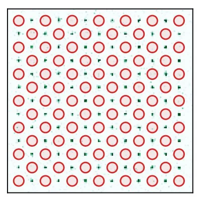 Ytterbium atoms unlock quantum boost to 60-second magnetic coherence