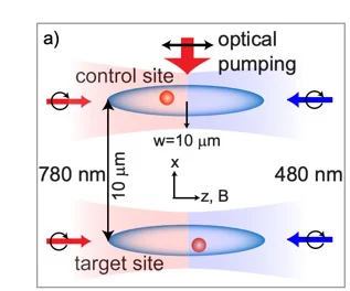 Cumulant Framework Analyzes Quantum Noise Beyond Standard Models