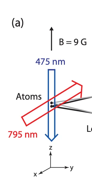 Caltech and partners find universality in quantum matter