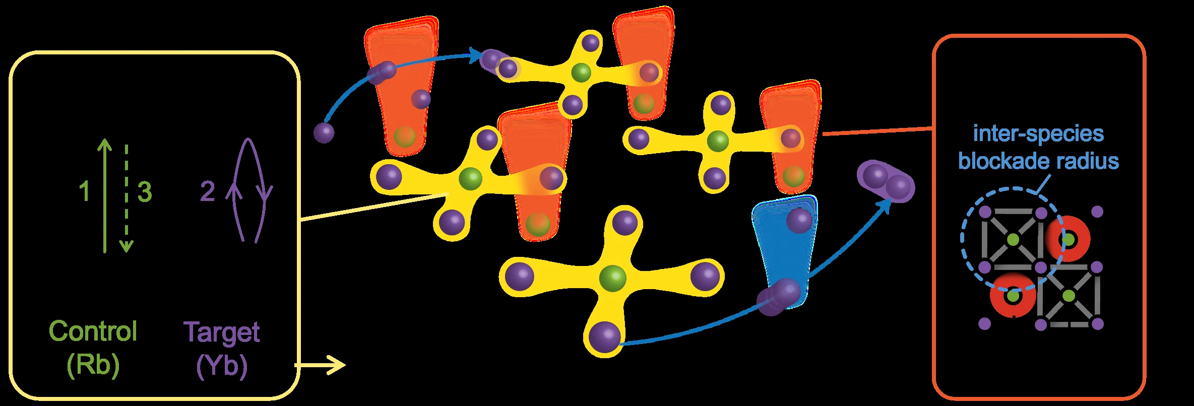 Scalable Test of Genuine Multipartite Entanglement via Partially Randomized Measurements