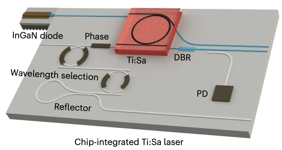 All entangled qubits of a certain type can steer, study finds