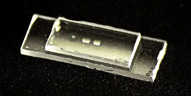 Quantum Computer Stores Data in Vibrations Like Notes on a Guitar