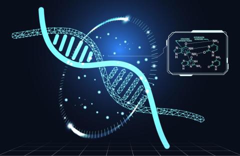 From Quantum Chemistry to Verifiable Quantum Execution: SoftQuantus QCOS and the VQE Algorithm