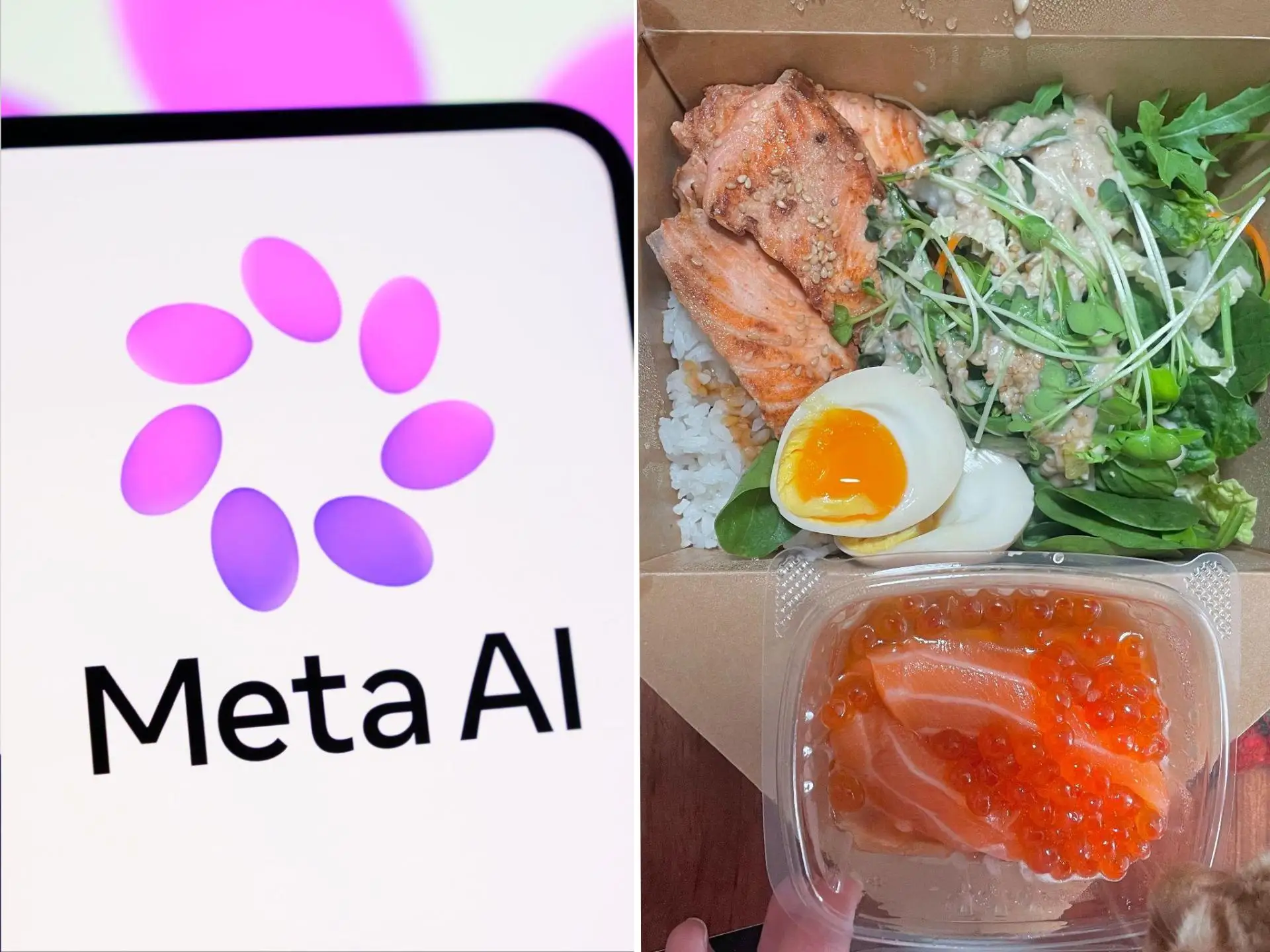 I asked Meta's new Muse Spark AI to judge my lunch and give me recipes for dinner, and it mostly delivered