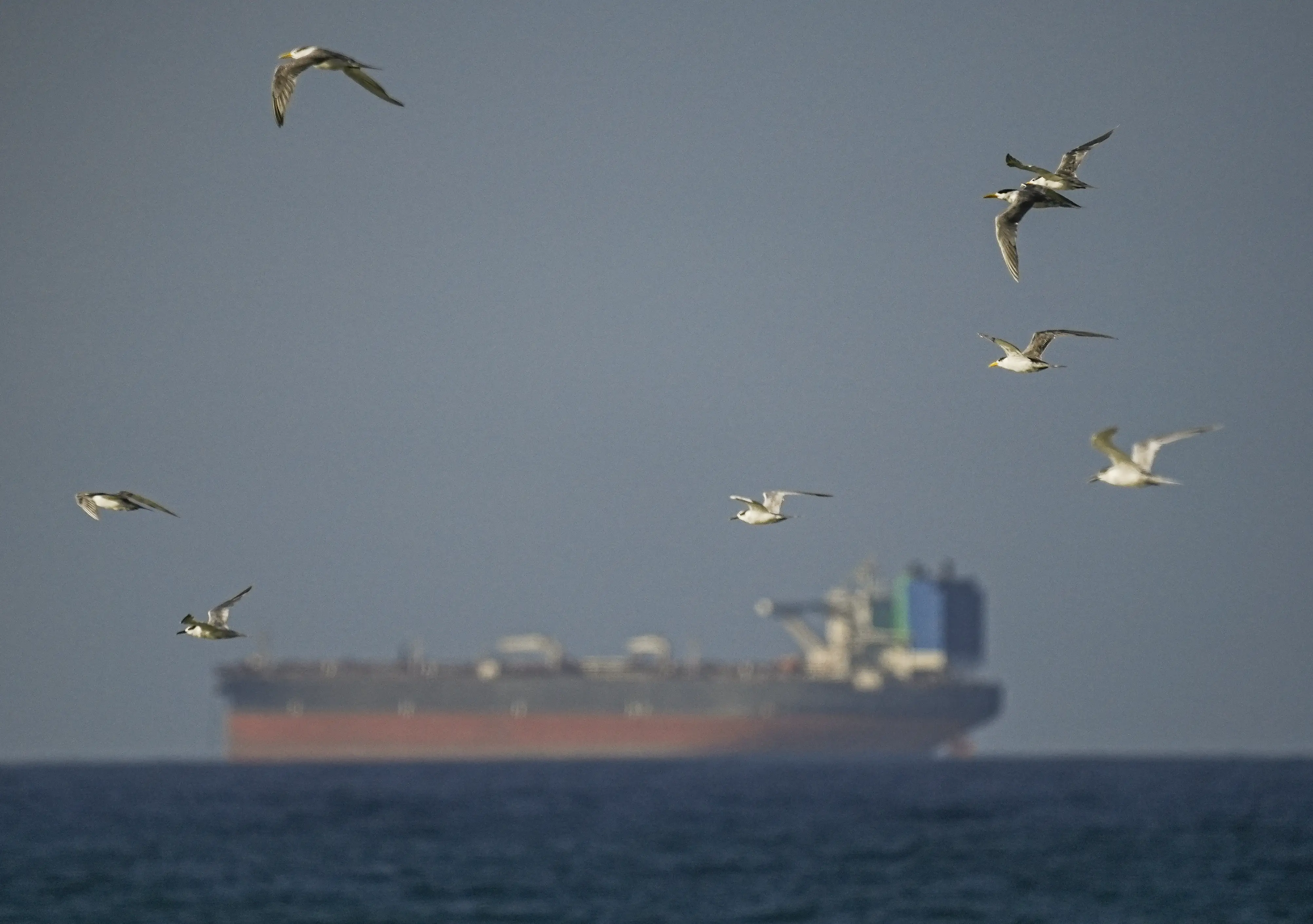 Commercial vessels are sailing through the Strait of Hormuz. Here's what 'completely open' looks like for now.
