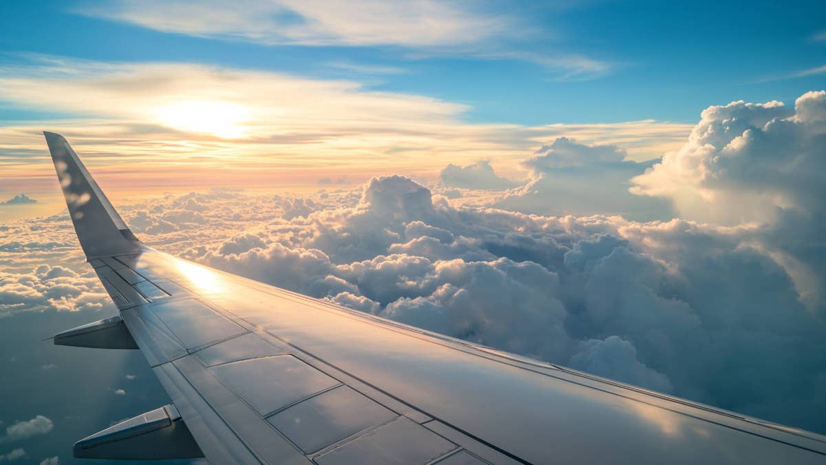 Low-cost airline cancels all flights for two weeks, travelers stranded