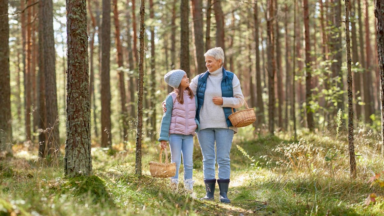 The Middle Wealthy Are the Goldilocks of Retirement, But Where Do You Find the Financial Advice That's 'Just Right'?