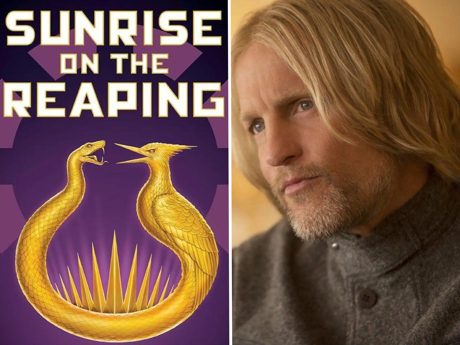 A new trailer for 'The Hunger Games: Sunrise on the Reaping' dropped. Here's everything we know about the film.