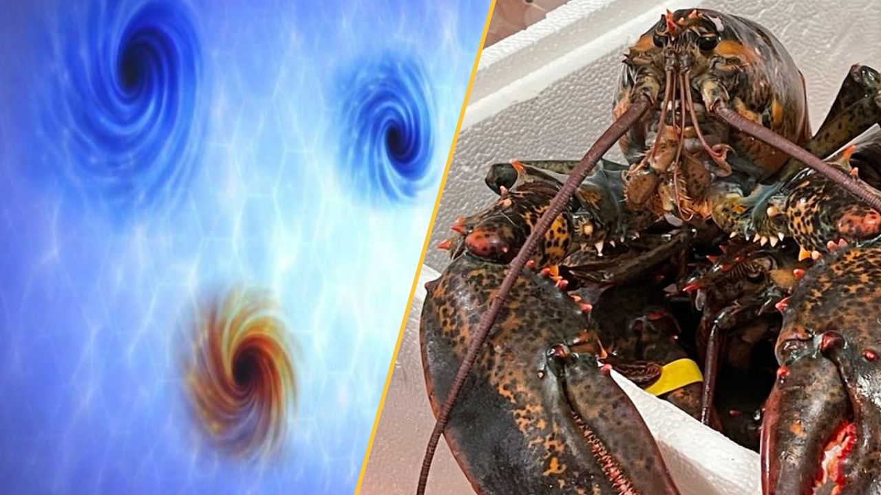 Science news this week: Physicists witness faster-than-light darkness pinpricks, humans are still evolving, and some polar bears are getting fatter than ever