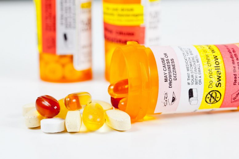 Scientists Reveal Why a Common Drug Causes Birth Defects and Autism