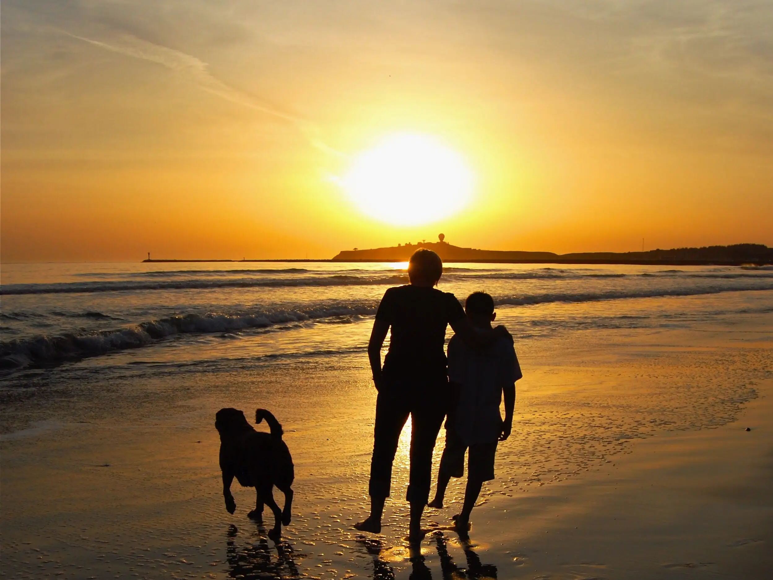 I sent my son to Australia alone when he was 13 so he'd be more independent. Now that he's an adult, I get advice from him.