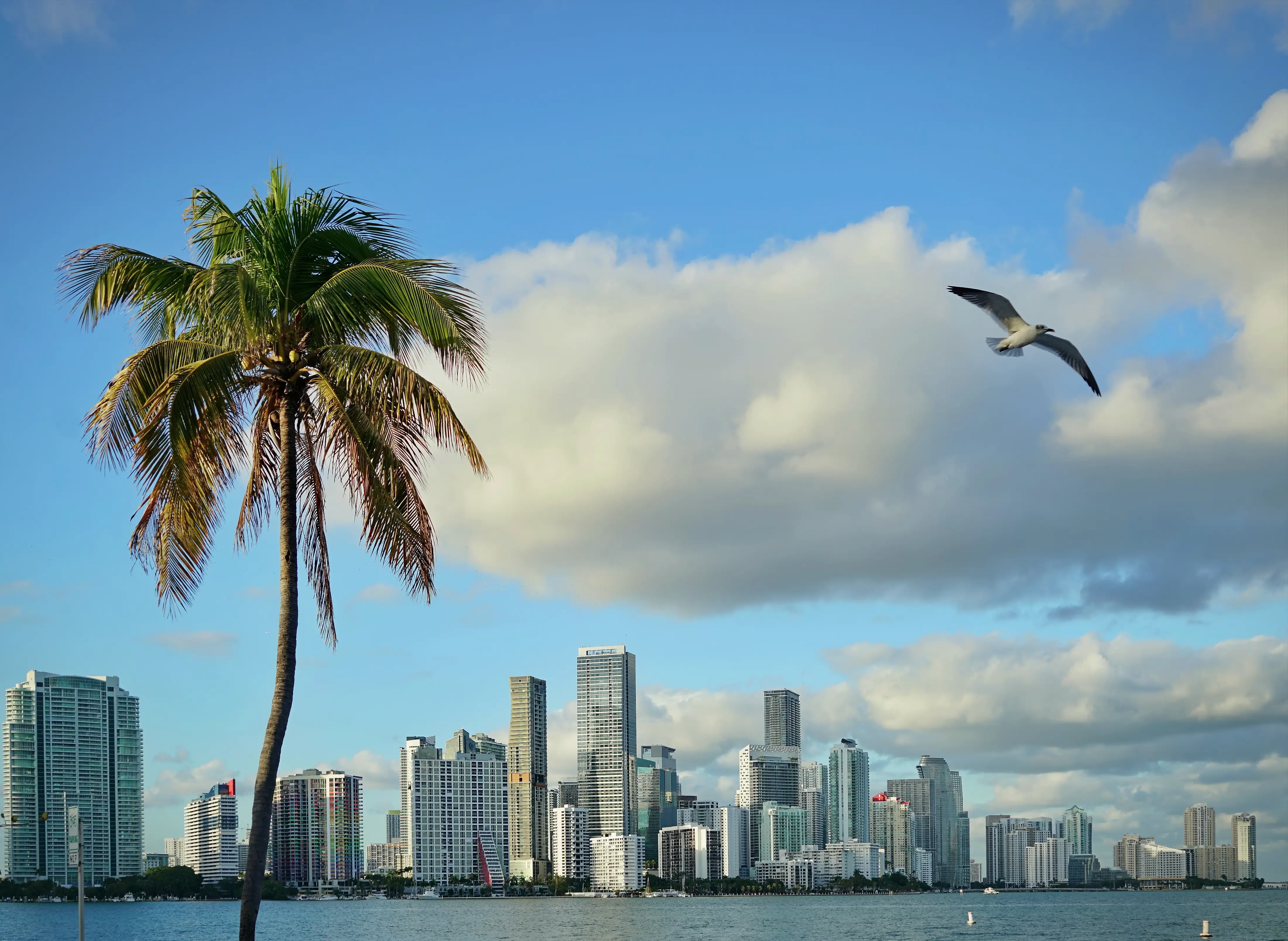 Where have all the Miami portfolio managers gone?
