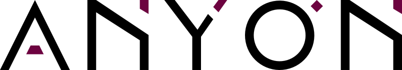 Anyon Systems logo