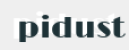 PiDust Quantum logo