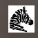 ZebraKet logo